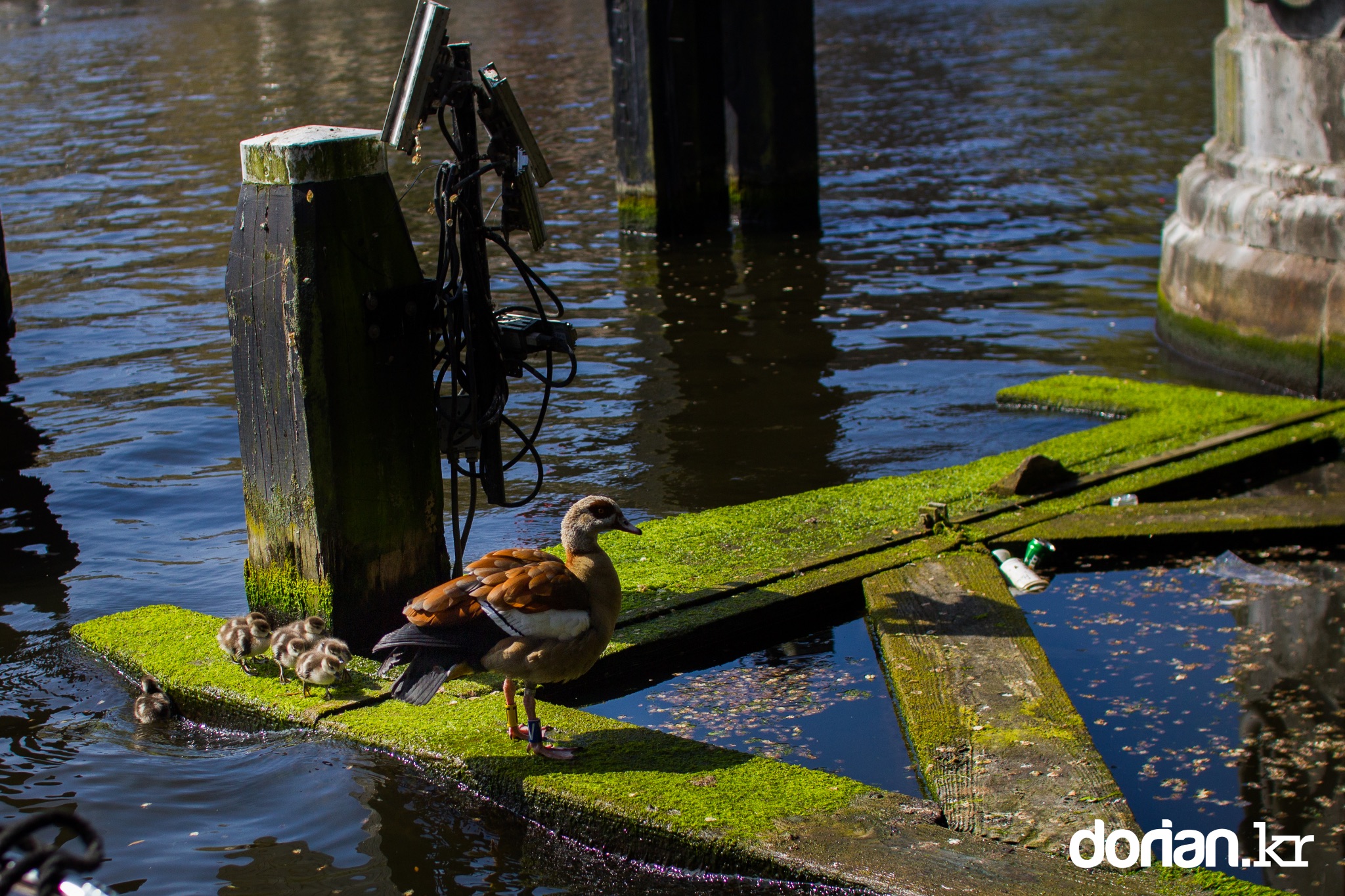 20170506 Amsterdam 0028