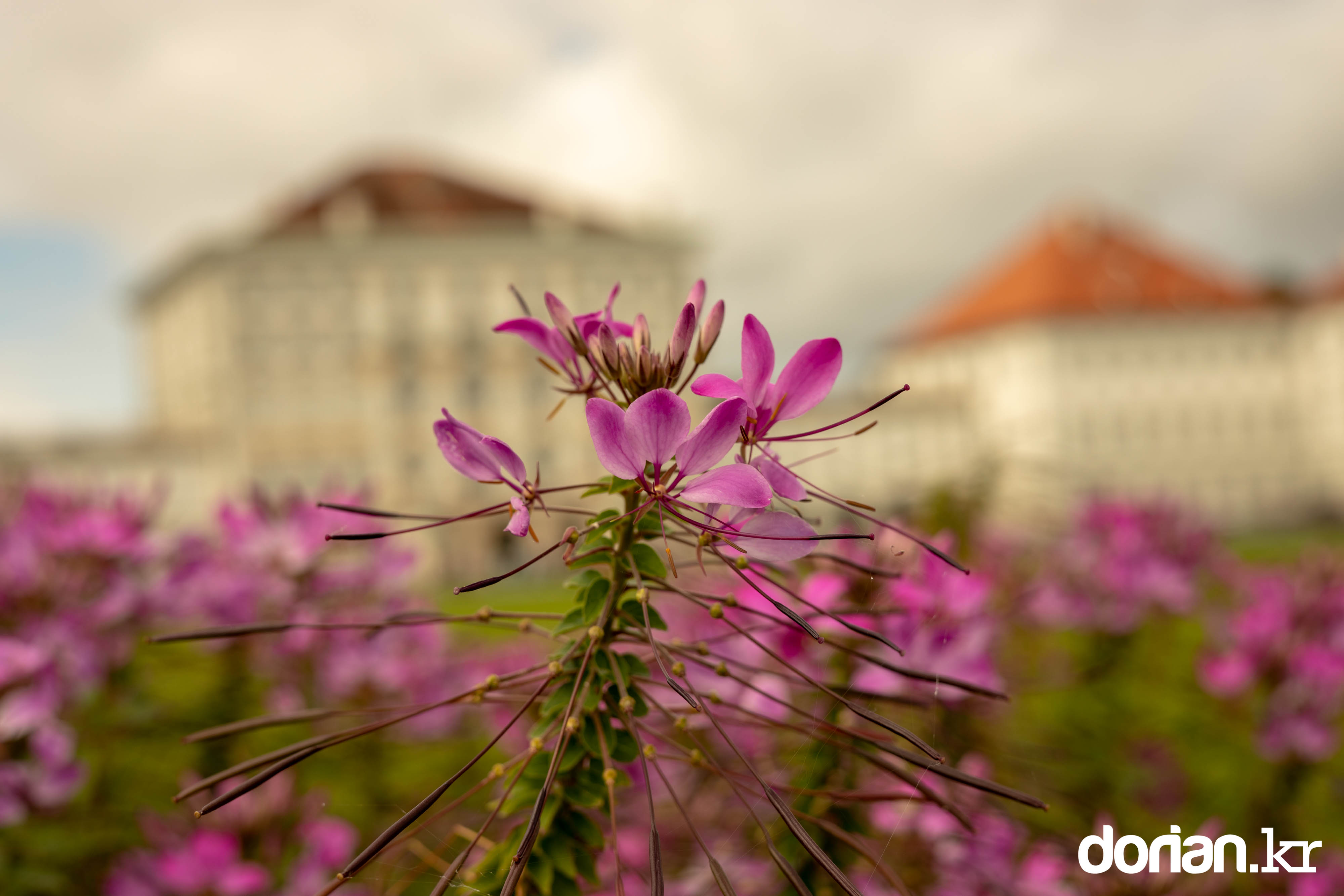 20210823 München 0006