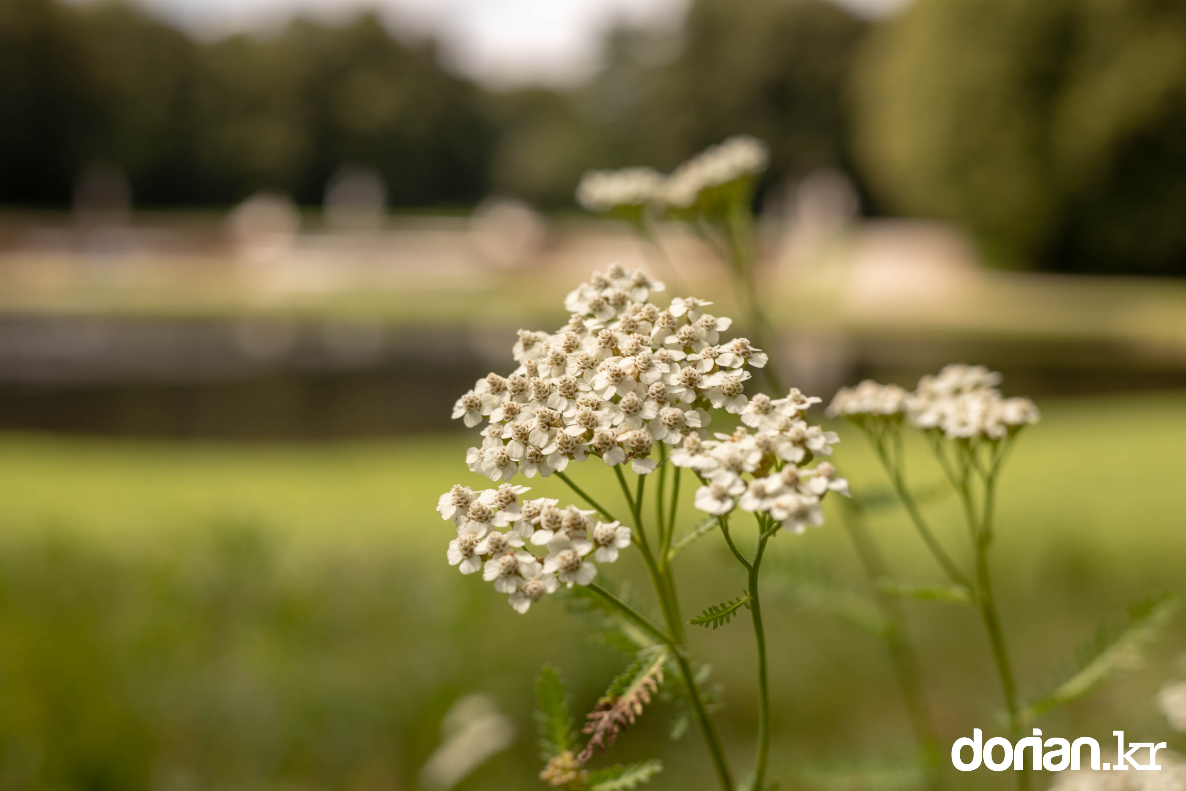 20210823 München 0008