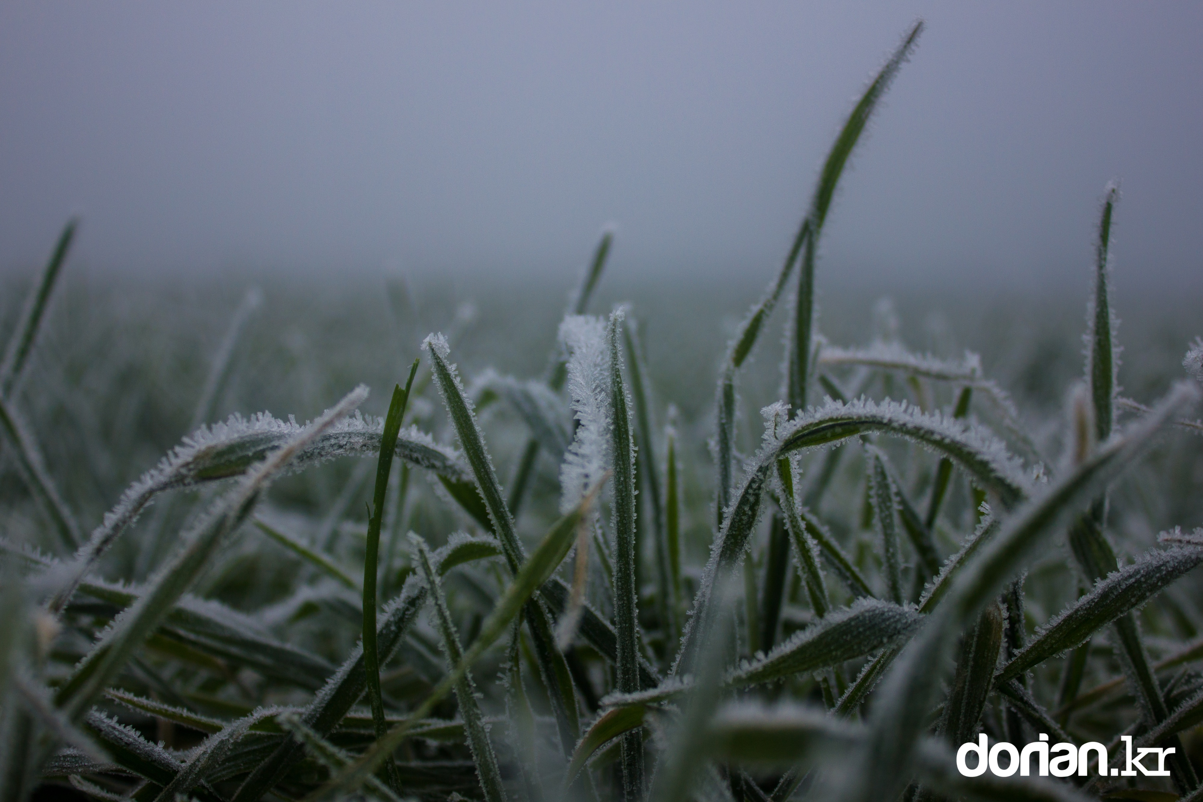 20150106 Winter 01 06 0001