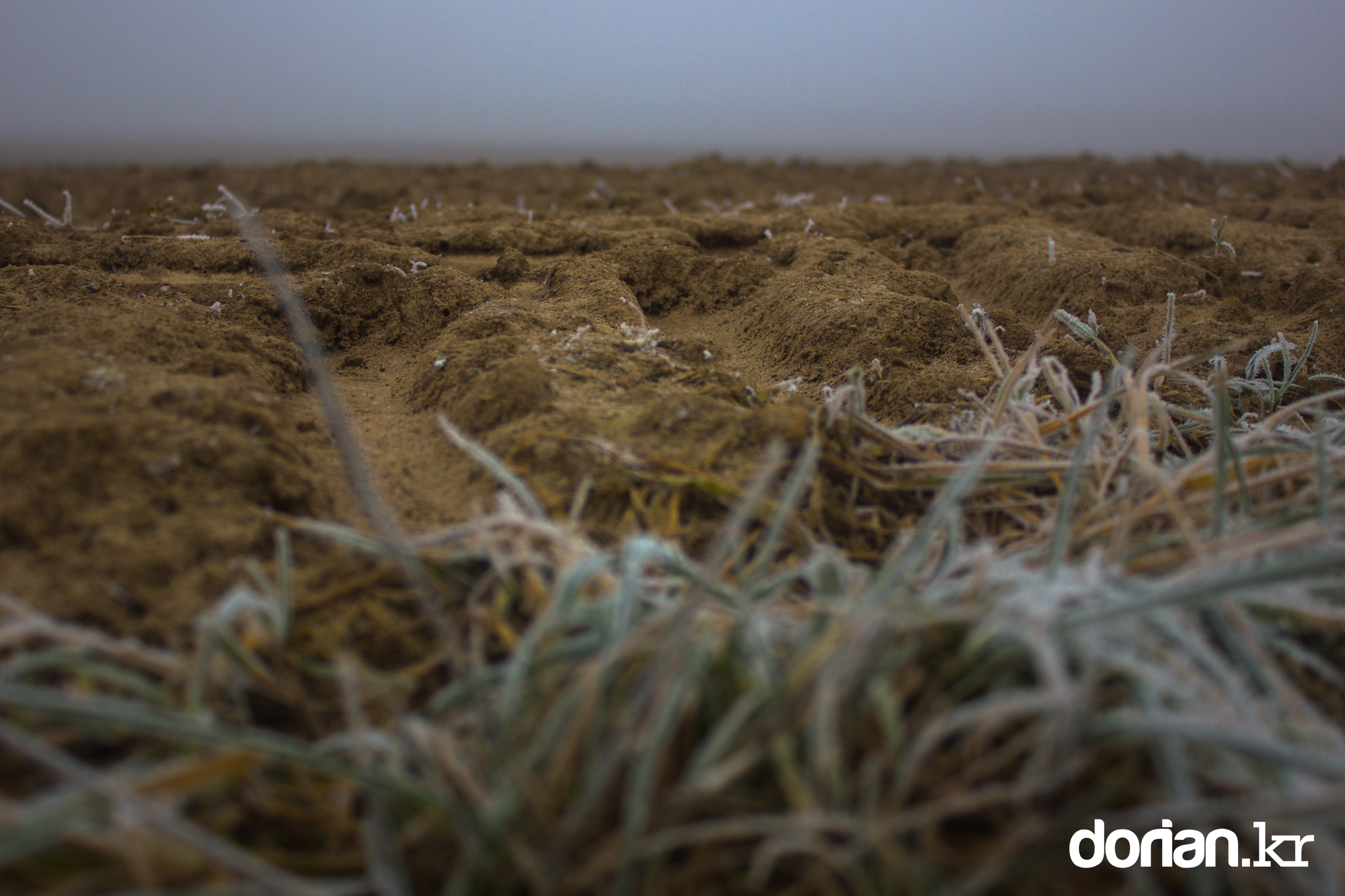 20150106 Winter 01 06 0002