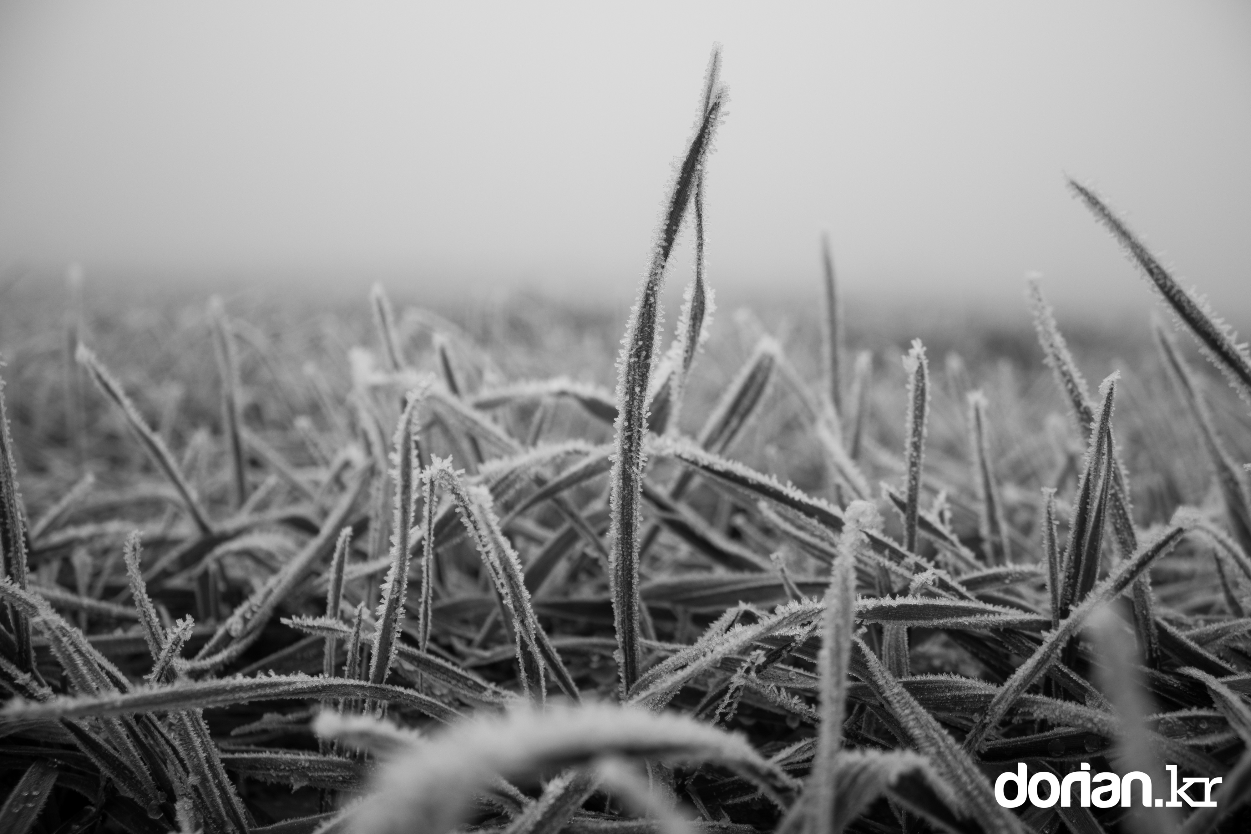 20150106 Winter 01 06 0004