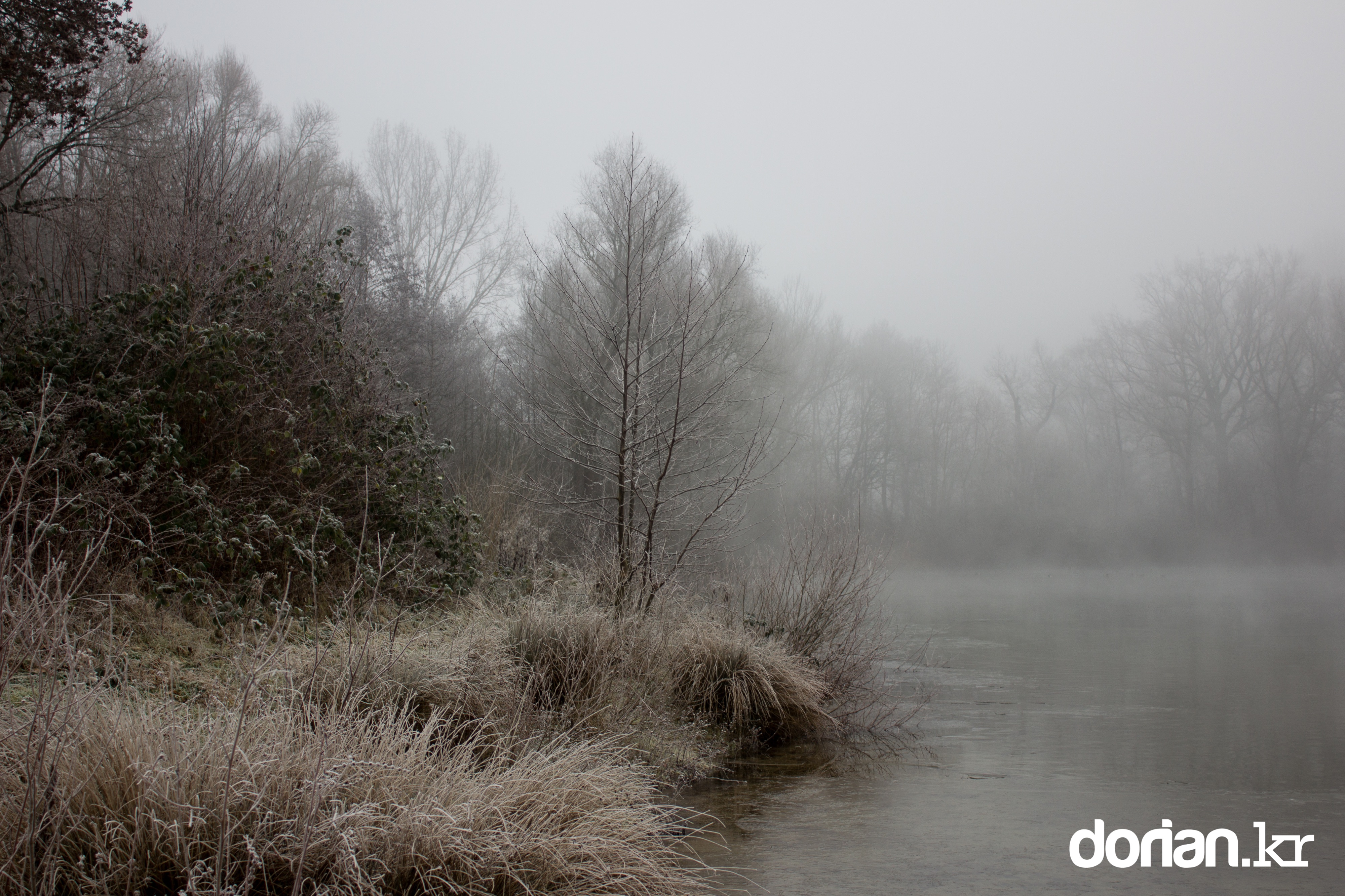 20150106 Winter 01 06 0005