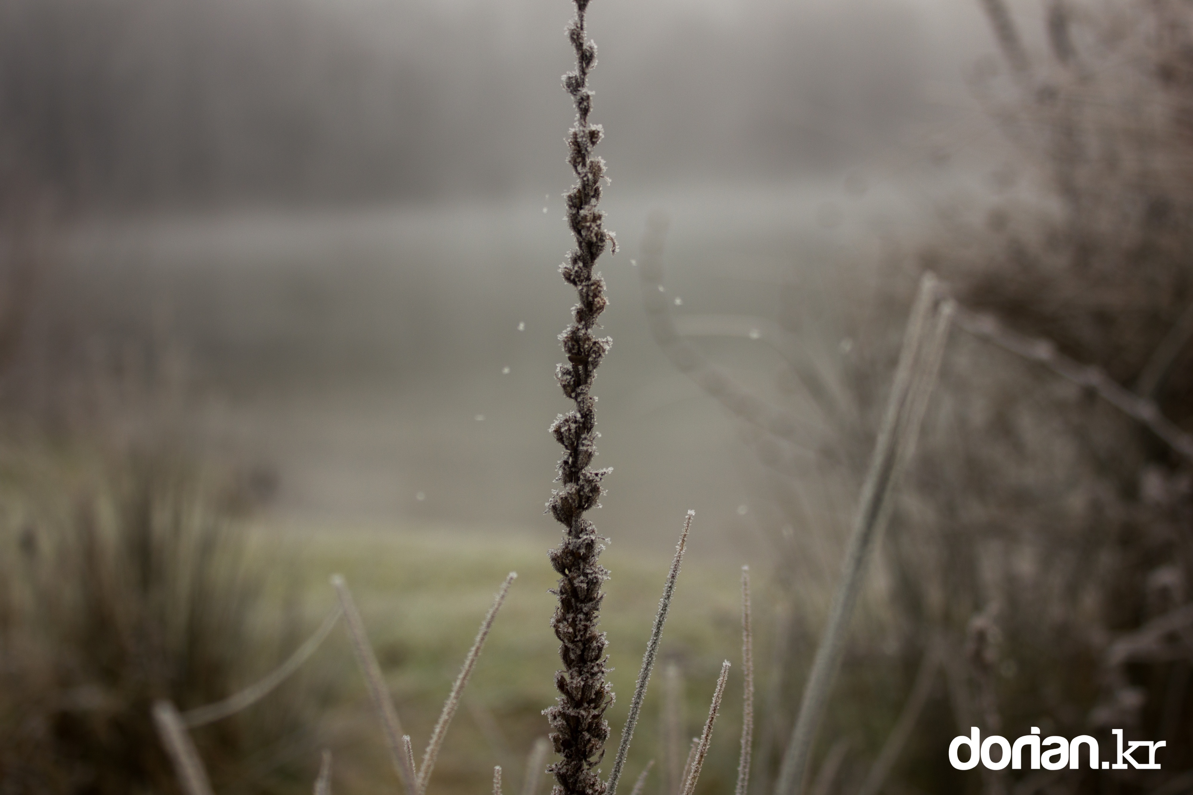 20150106 Winter 01 06 0006