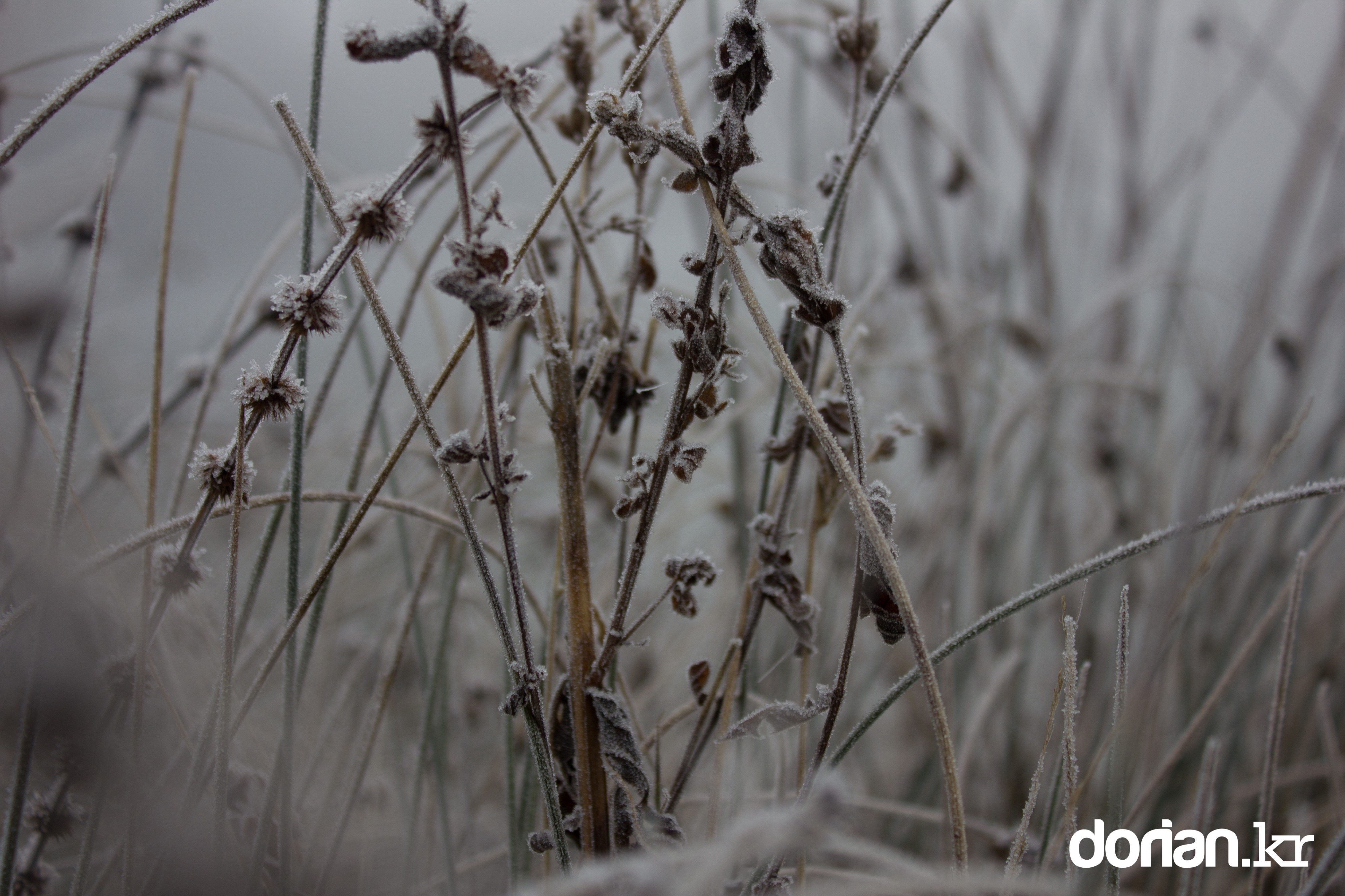 20150106 Winter 01 06 0007