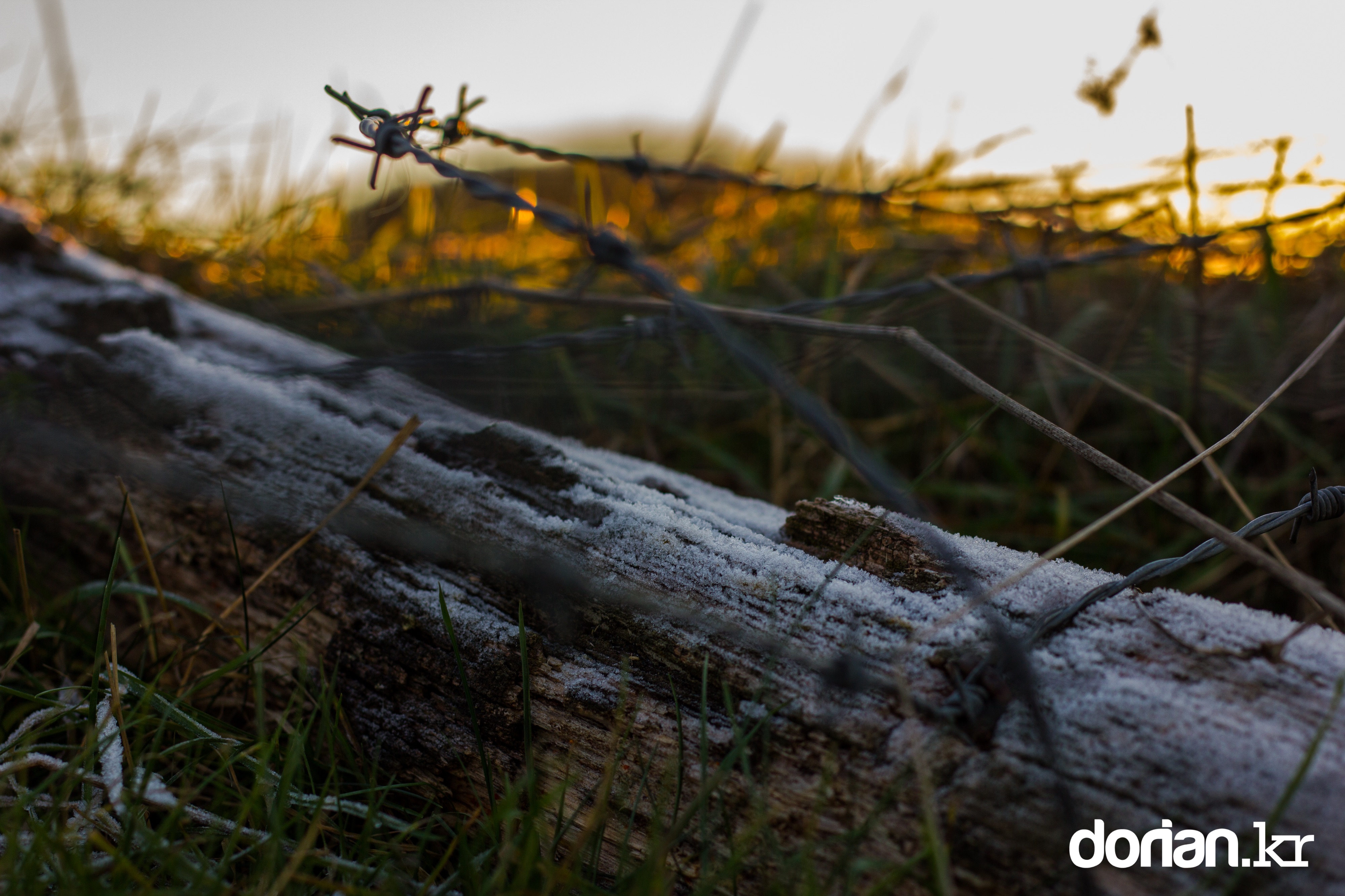 20161128 WinterSession 11 28 0006