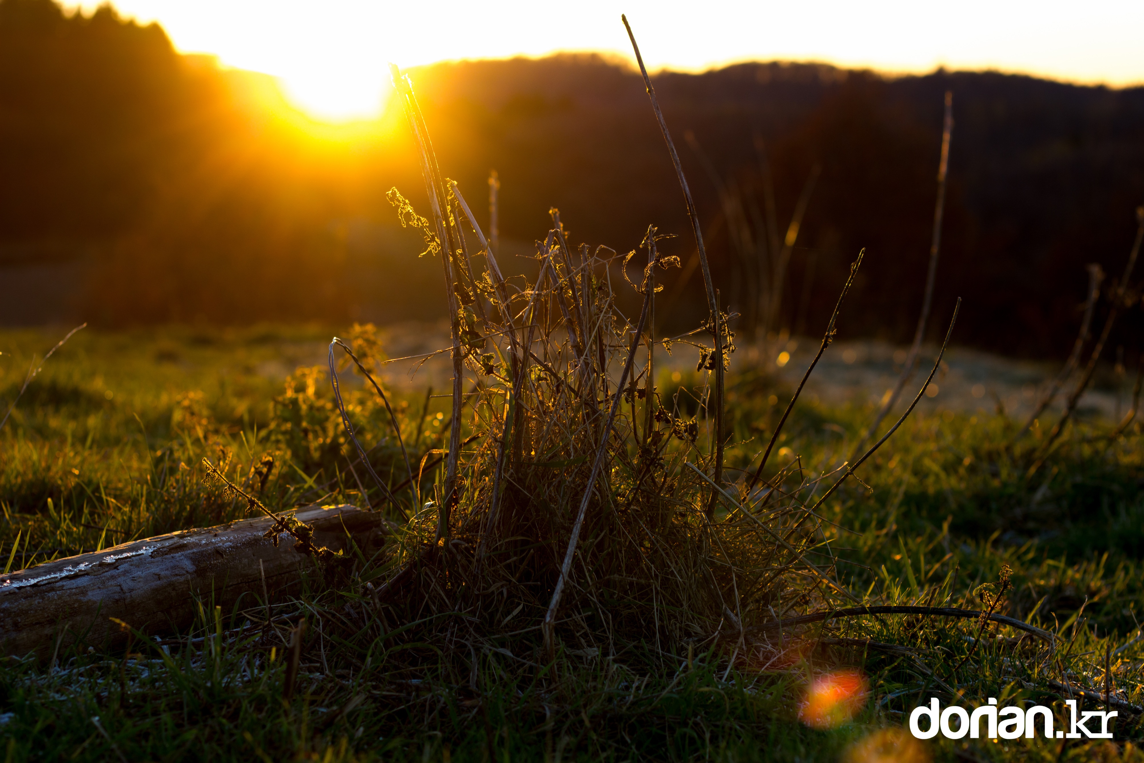 20161128 WinterSession 11 28 0007